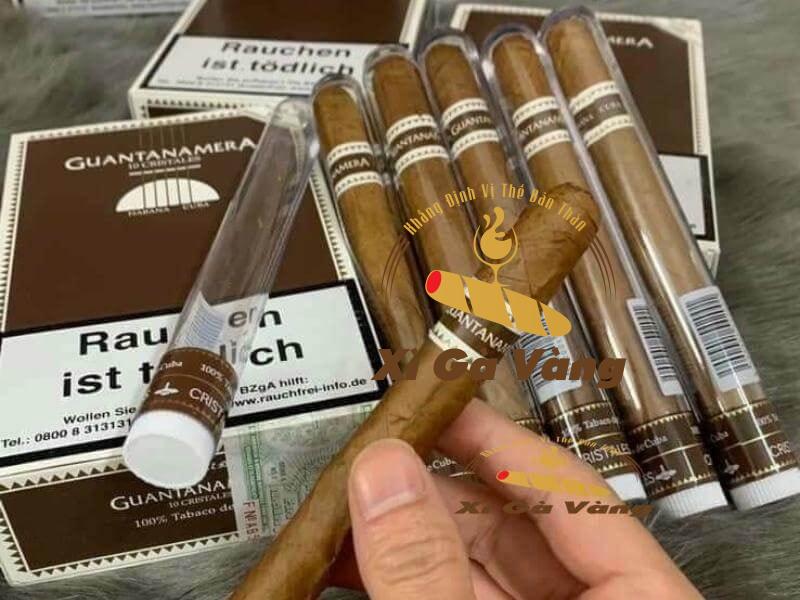 Xì gà Guantanamera đựng trong ống nhựa trong suốt bắt mắt